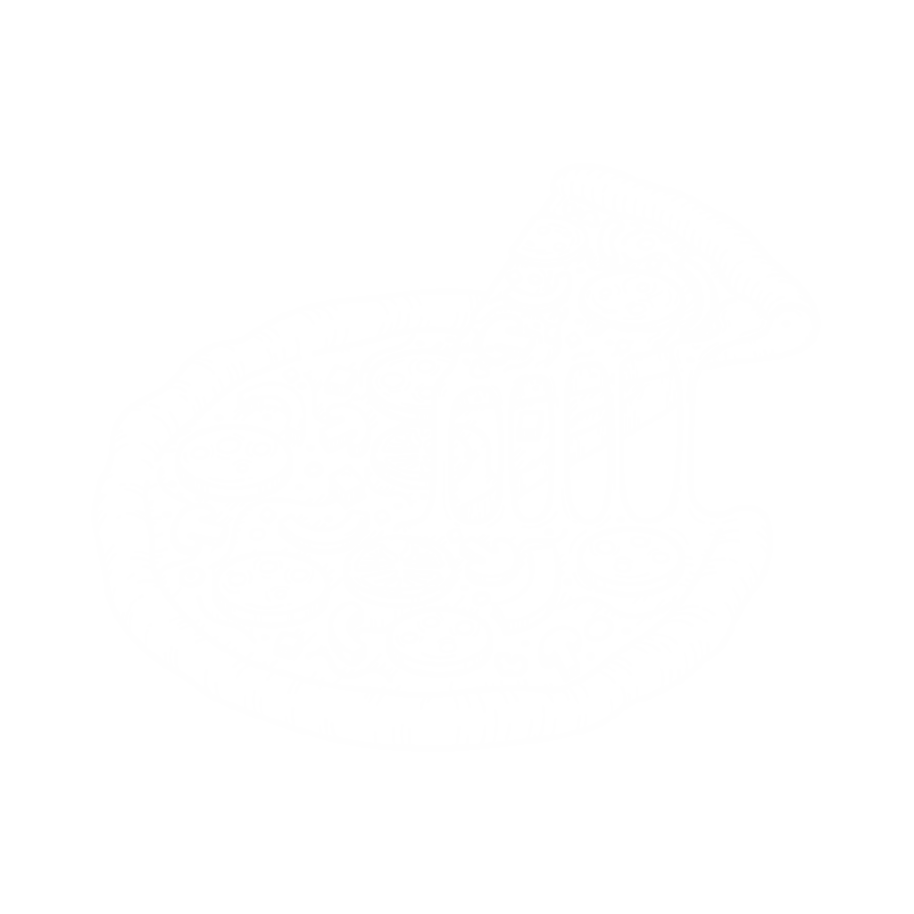 Kebabskee Pizzas Wallsend